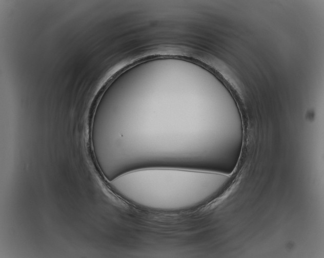 X0000097660837200802290920