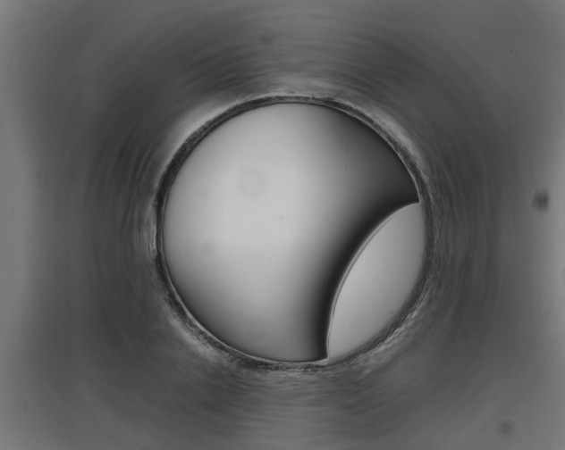 X0000097660838200802290920
