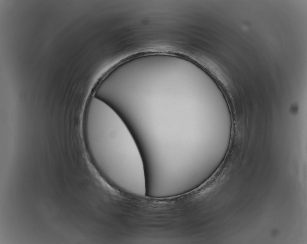 X0000097660839200802290920
