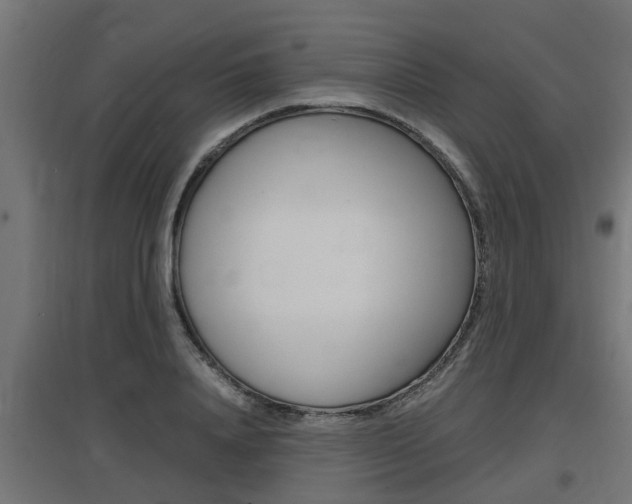 X0000097660840200802290920