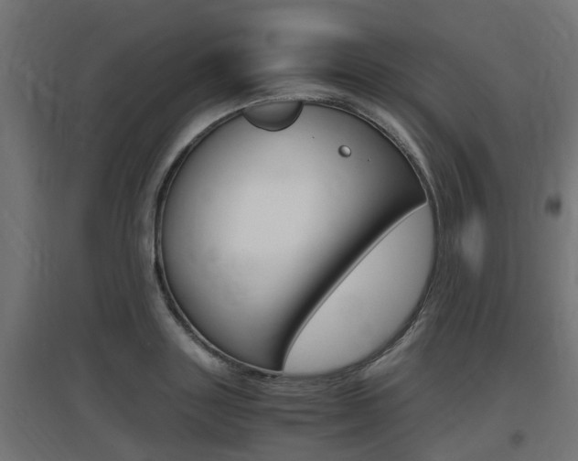X0000097660843200802290920