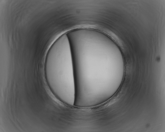 X0000097660844200802290920