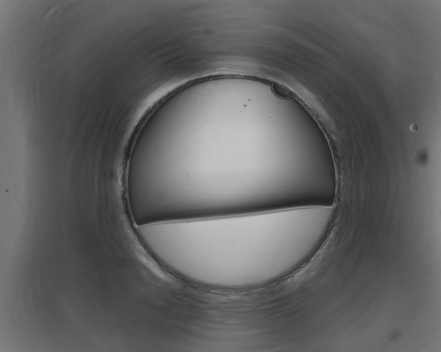 X0000097660846200802290920