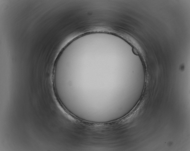X0000097660847200802290920