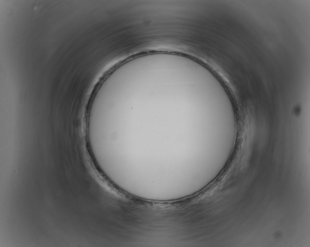 X0000097660848200802290920