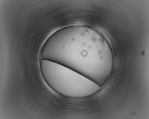 X0000097660851200802290920