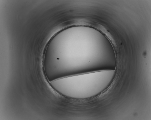 X0000097660853200802290920