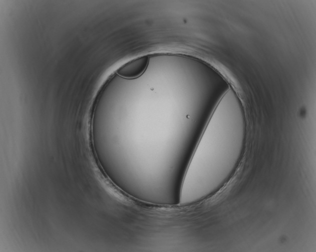 X0000097660854200802290920