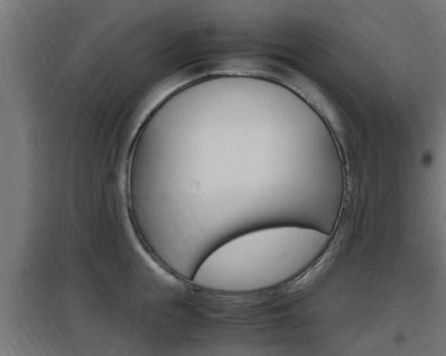 X0000097660855200802290920