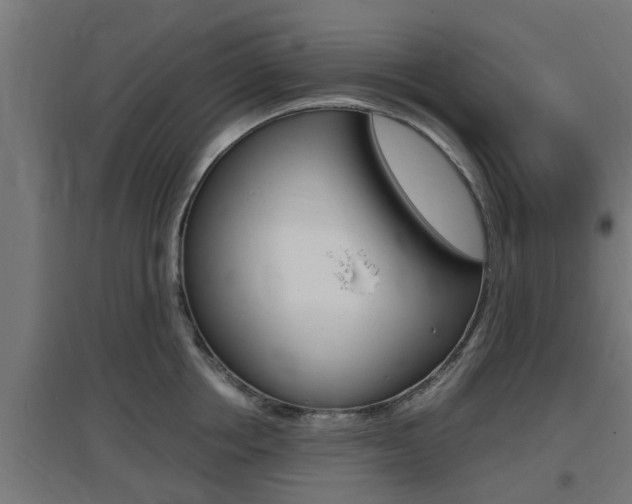 X0000097660858200802290920