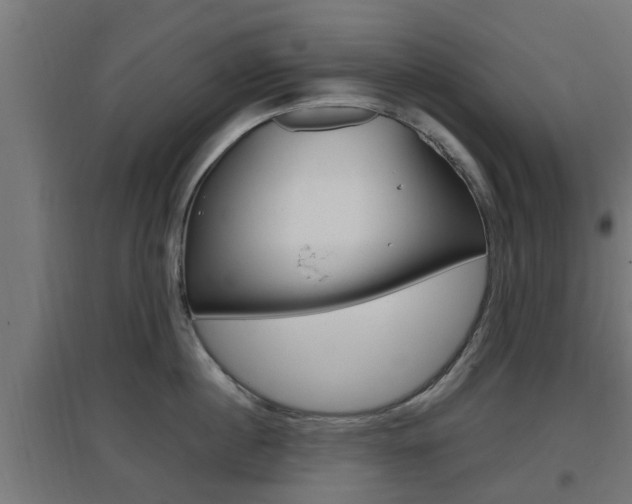 X0000097660860200802290920