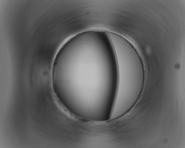 X0000097660864200802290920