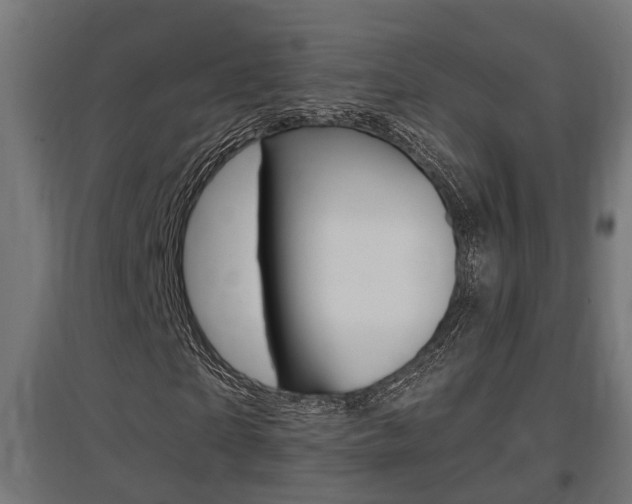 X0000097660865200802290919