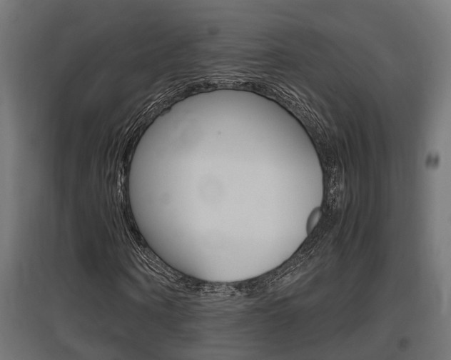 X0000097660866200802290919