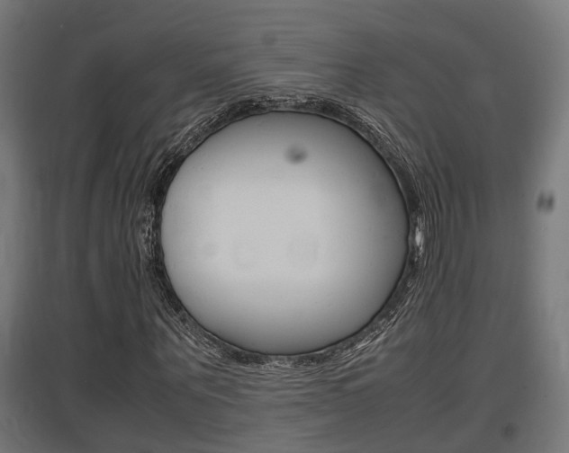 X0000097660867200802290919