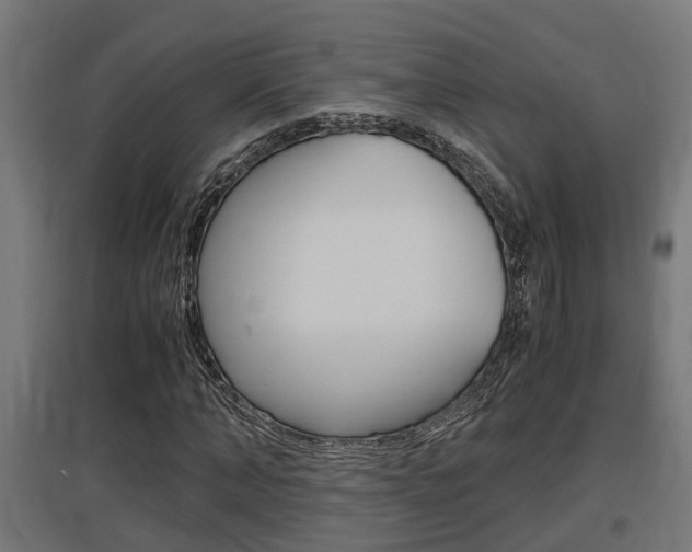 X0000097660870200802290919