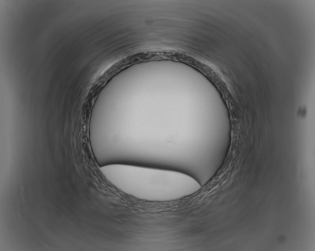 X0000097660871200802290919