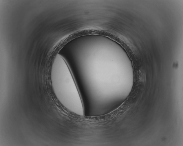 X0000097660872200802290919