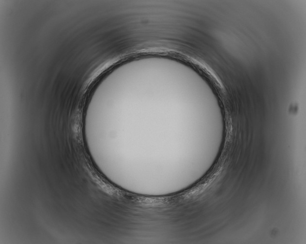 X0000097660874200802290919
