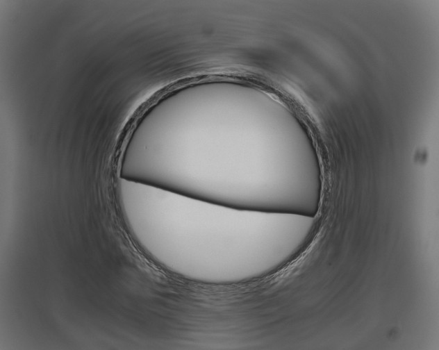 X0000097660875200802290919