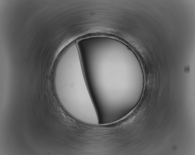X0000097660877200802290919