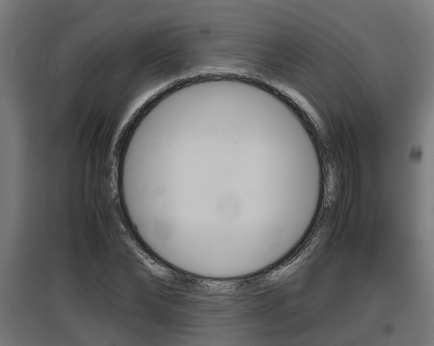 X0000097660878200802290919