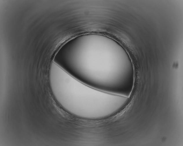 X0000097660881200802290919