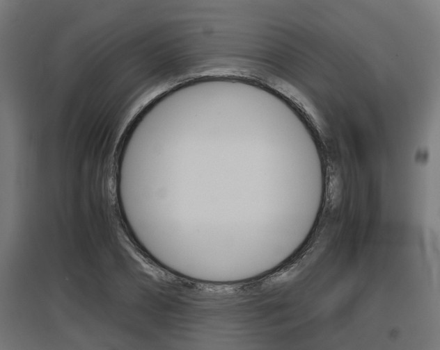 X0000097660882200802290919