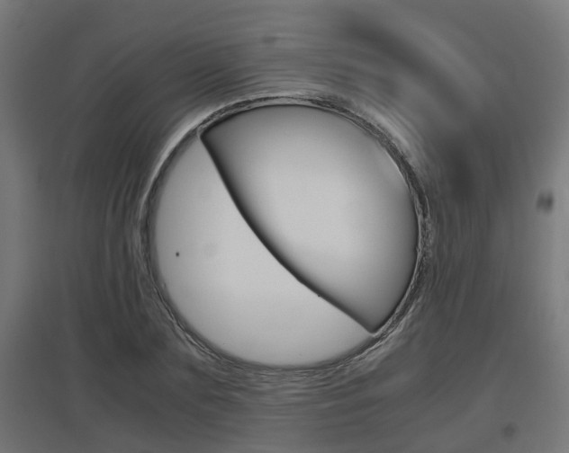X0000097660883200802290919