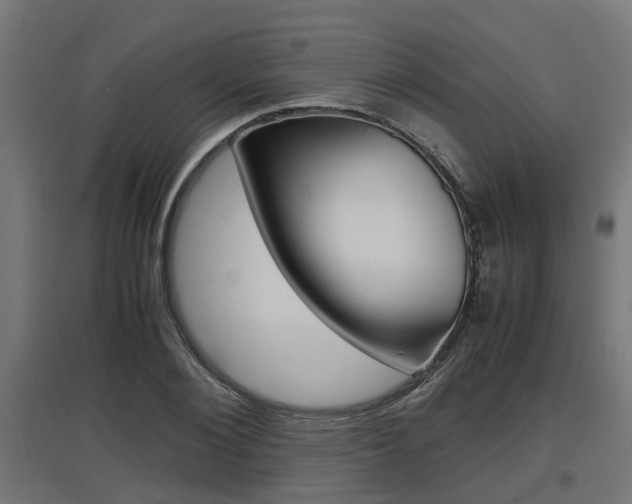 X0000097660884200802290919