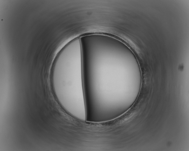 X0000097660885200802290919