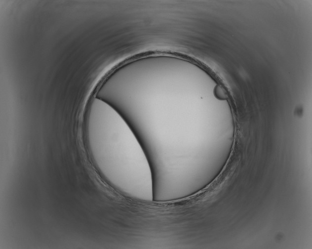 X0000097660887200802290919
