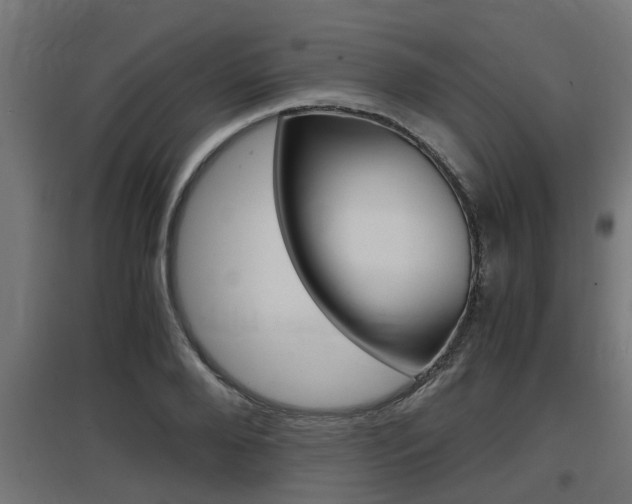 X0000097660888200802290919