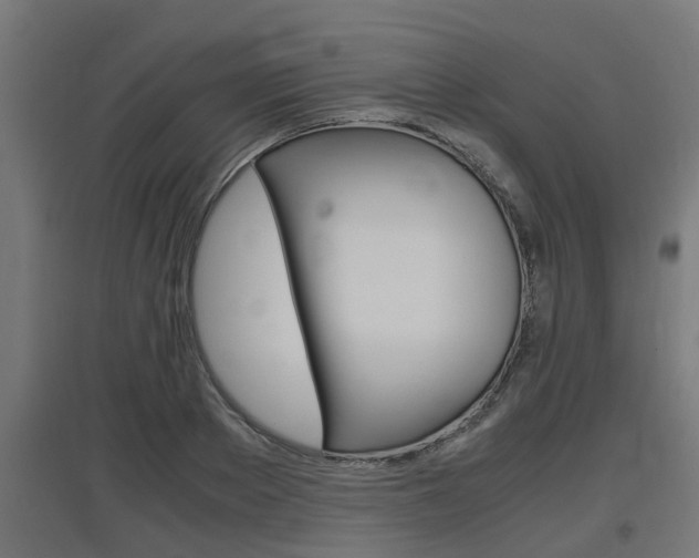 X0000097660889200802290919