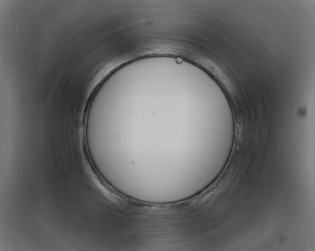 X0000097660890200802290919