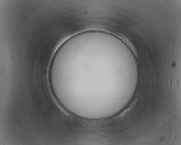 X0000097660893200802290919