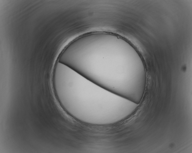 X0000097660895200802290919