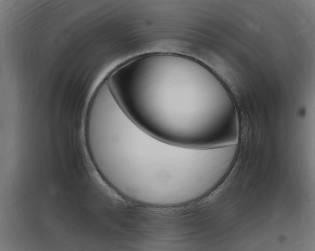 X0000097660896200802290919