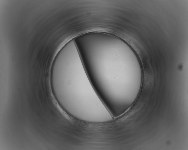X0000097660898200802290919