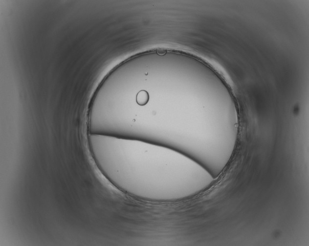 X0000097660903200802290919