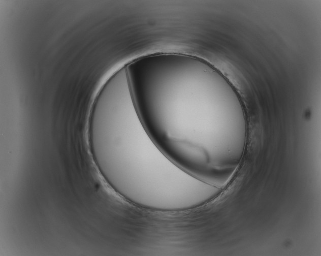 X0000097660904200802290919