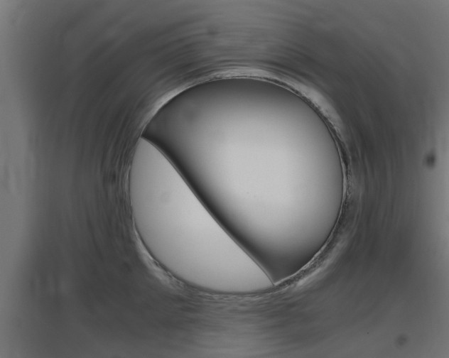 X0000097660905200802290919