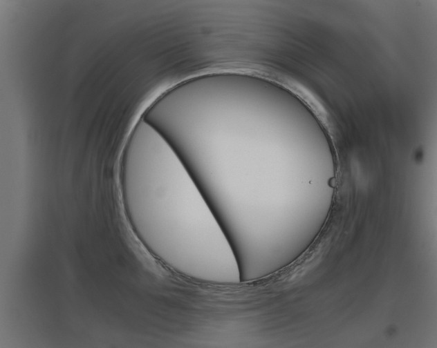 X0000097660907200802290918