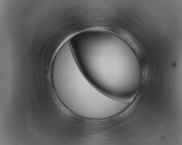 X0000097660908200802290918