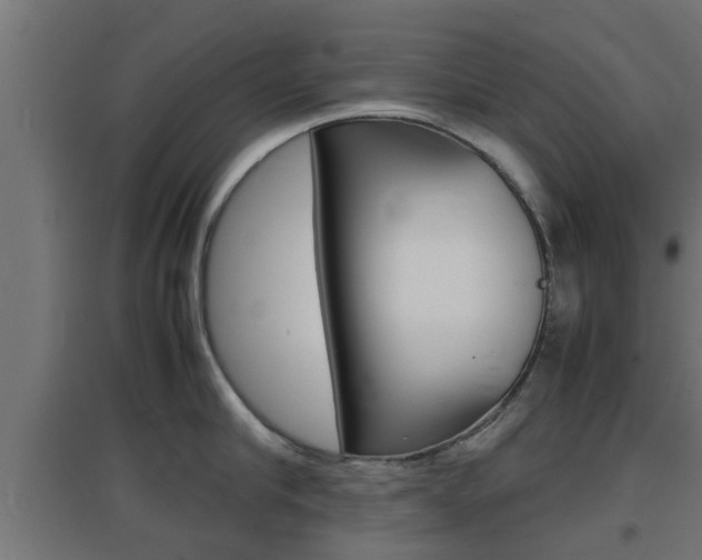 X0000097660910200802290918