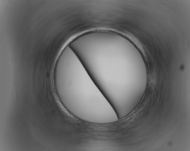 X0000097660911200802290918