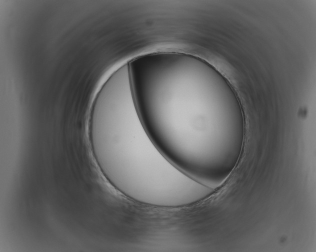 X0000097660912200802290918
