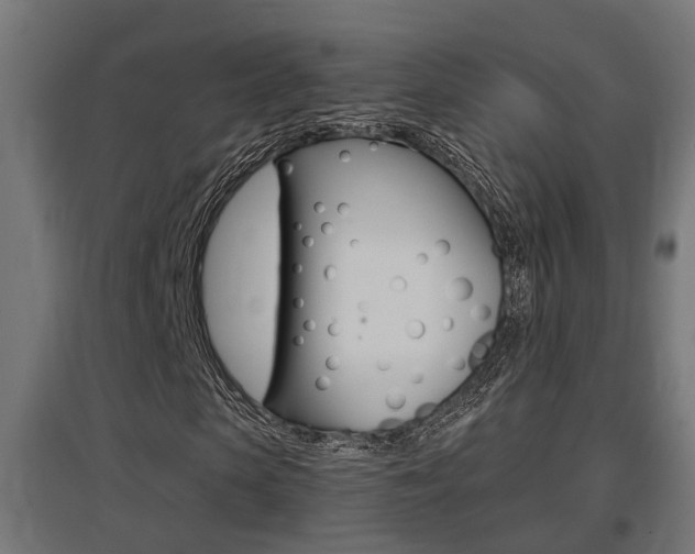 X0000097660913200802290918