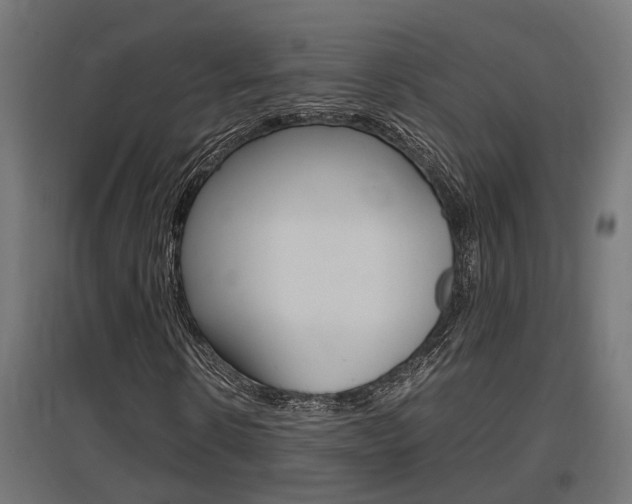 X0000097660914200802290918