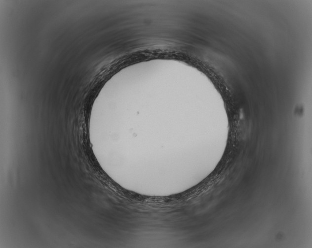 X0000097660918200802290918
